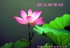 ֹ,ϴ󷨵ӹףʦ(21)
