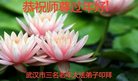 ֹ,󷨵ӹףʦ(22)