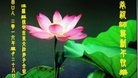 法轮功,保定大法弟子恭祝师尊新年好(24条)