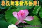ֹ,󷨵ӹףʦ(28)