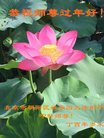 ֹ,󷨵ӹףʦ(25)