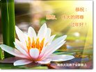 ֹ,մ󷨵ӹףʦ(24)