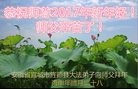ֹ,մ󷨵ӹףʦ(27)