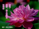 ֹ,մ󷨵ӹףʦ(24)