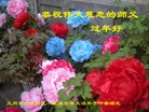 ֹ,󷨵ӹףʦ(23)