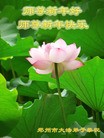 ֹ,֣ݴ󷨵ӹףʦ(21)