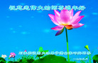 法轮功,石家庄大法弟子恭祝师尊新年好(23条)