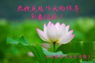 ֹ,ϴ󷨵ӹףʦ(29)