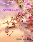 ֹ,󷨵ӹףʦ(21)