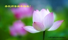 ֹ,󷨵ӹףʦ(21)