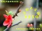 ֹ,ɶ󷨵ӹףʦ(25)