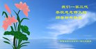 法轮功,湖南大法弟子恭祝师尊新年好(27条)