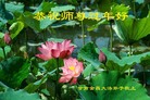 ֹ,󷨵ӹףʦ(23)