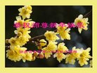 ֹ,󷨵ӹףʦ(28)