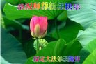 ֹ,󷨵ӹףʦ(25)