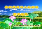 ֹ,󷨵ӹףʦ(24)