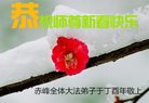 ֹ,ɹŴ󷨵ӹףʦ(25)