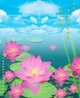 法轮功,郑州大法弟子恭祝师尊新年好(21条)