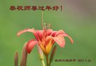 ֹ,󷨵ӹףʦ(24)