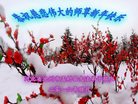 ֹ,ӱ󷨵ӹףʦ(24)