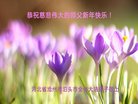 ֹ,ӱ󷨵ӹףʦ(24)