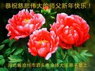 ֹ,ӱ󷨵ӹףʦ(24)