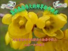 ֹ,ӱ󷨵ӹףʦ(24)