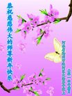 ֹ,ӱ󷨵ӹףʦ(24)