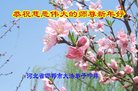 ֹ,ӱ󷨵ӹףʦ(24)