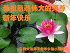 ֹ,ൺ󷨵ӹףʦ(23)