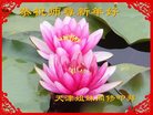 ֹ,󷨵ӹףʦ(21)