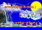 法轮功,郑州大法弟子恭祝师尊新年好(21条)