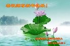 法轮功,郑州大法弟子恭祝师尊新年好(21条)