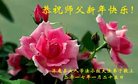 ֹ,żҿڴ󷨵ӹףʦ(23)