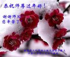 ֹ,żҿڴ󷨵ӹףʦ(23)