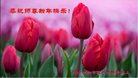 ֹ,󷨵ӹףʦ(28)