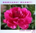 ֹ,ϴ󷨵ӹףʦ(30)