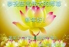 ֹ,󷨵ӹףʦ(32)