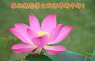 ֹ,ɹŴ󷨵ӹףʦ(24)