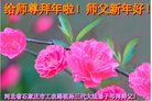 ֹ,ʯׯ󷨵ӹףʦ(26)