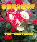 ֹ,󷨵ӹףʦ(29)