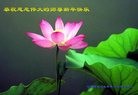 ֹ,żҿڴ󷨵ӹףʦ(29)