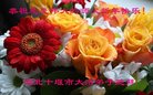 ֹ,󷨵ӹףʦ(29)
