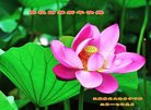 ֹ,մ󷨵ӹףʦ(26)