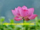 ֹ,ൺ󷨵ӹףʦ(29)