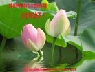 ֹ,մ󷨵ӹףʦ(26)