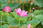 法轮功,四川大法弟子恭祝师尊新年好(26条)