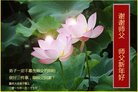 法轮功,重庆大法弟子恭祝师尊新年好(29条)