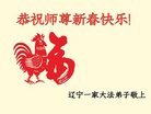 法轮功,沈阳大法弟子恭祝师尊新年好(28条)