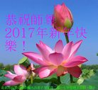 Published on 1/25/2017 ���ֹ�,��½�󷨵��ӹ�ףʦ�������(35��)